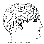 Map of the Brain per Phrenology.  Pre-psychology.